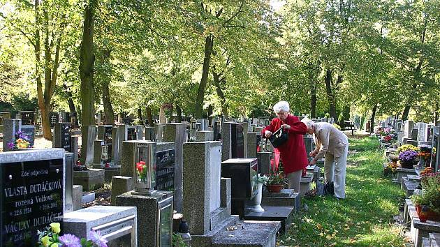 Kanadský průmysl smrti, zrůdnost v podobě eutanazie novorozenců, kojenců a malých&nbsp;miminek